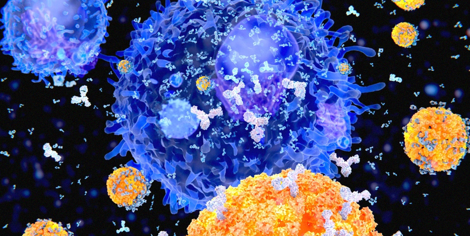 Uma nova terapia genética baseada em anticorpos será testada em humanos