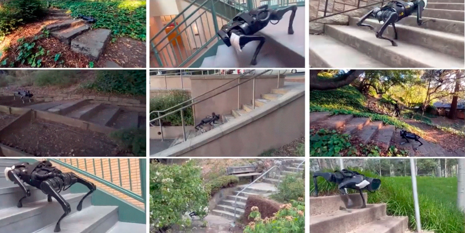 Assista a este cão-robô a andar por terrenos complexos usando apenas a sua câmera
