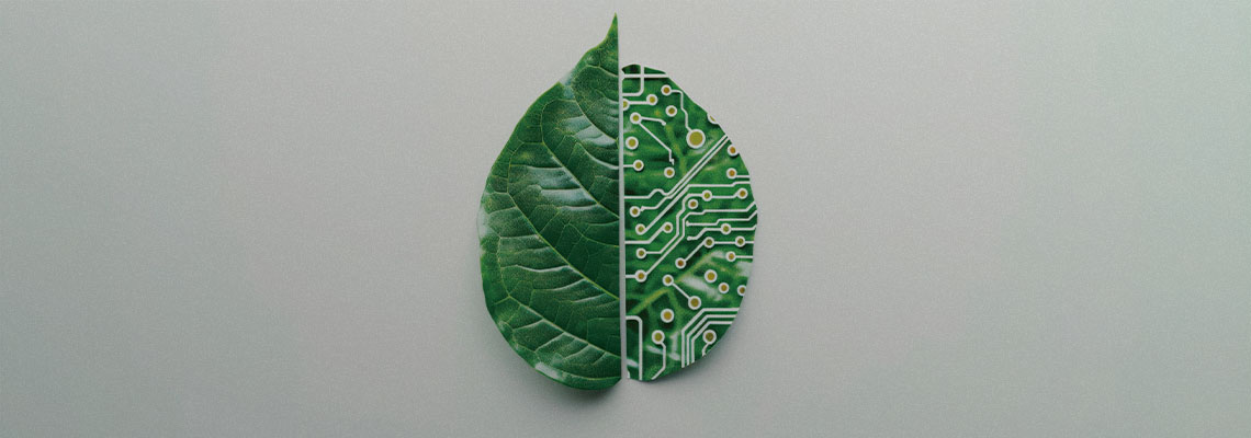 Datacenters: o equilíbrio entre Transformação Digital e sustentabilidade
