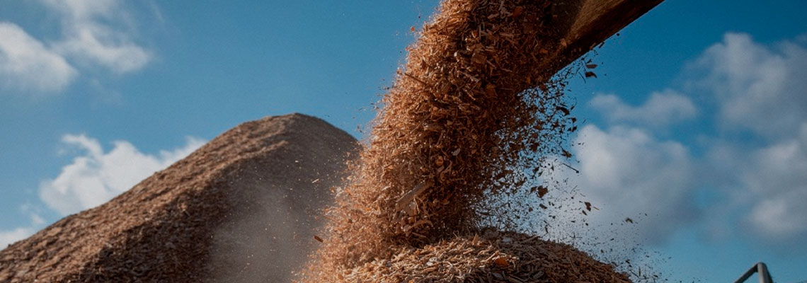 A grande aposta das big techs numa tática controversa de remoção de carbono